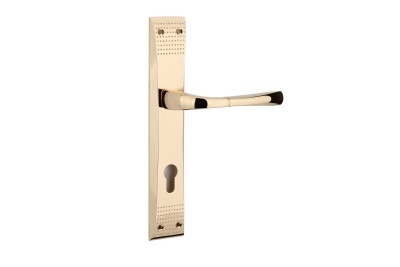 ZINC ALLOY LEVER ON PLATESKT-P806