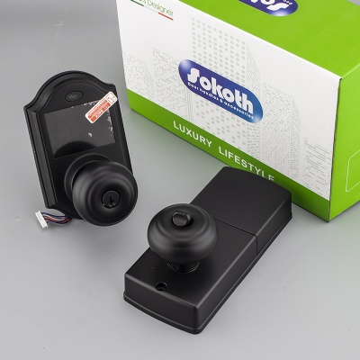 American market electronic access black smart lockSKT-TX002-A