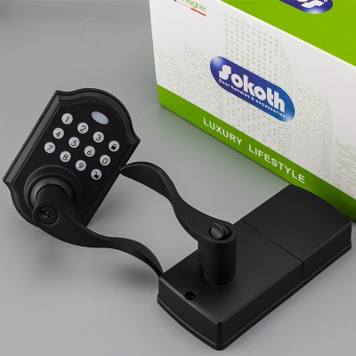 USA market high security electronic smart door lock intelligent electronic password code smart door lockSKT-TX006-A
